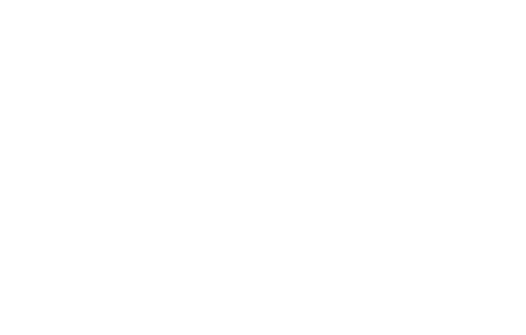 logo-bianco-werdnadesigner-w-sc